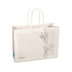 Sac cadeau en papier Kraft Peclavus - Lot de 10 - Ruck